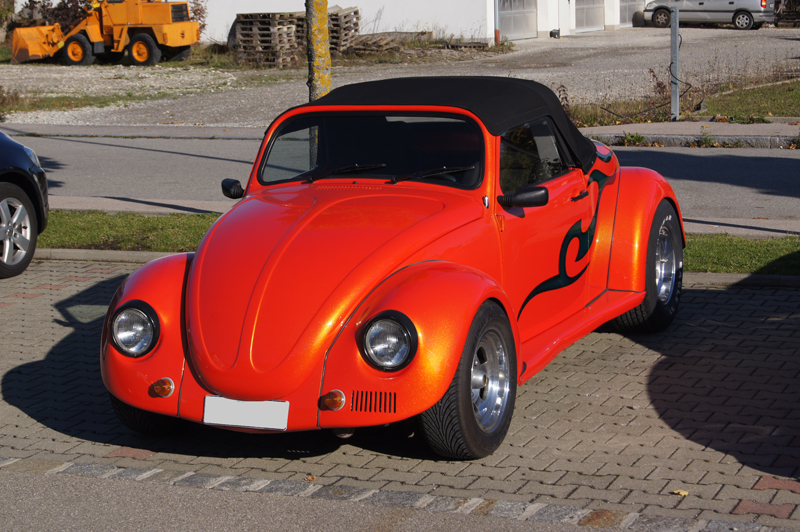 Käfer 02